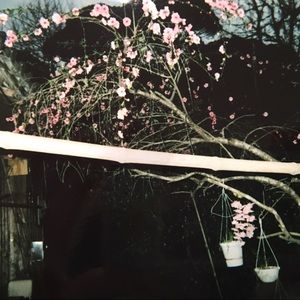 Meet your Posher, Candace